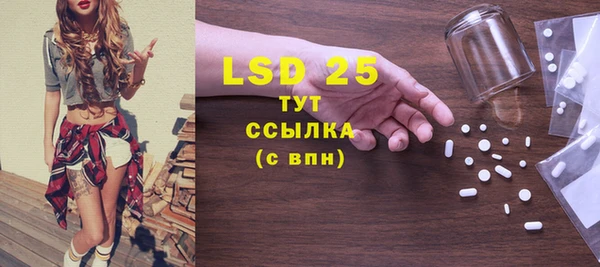 дживик Богородск
