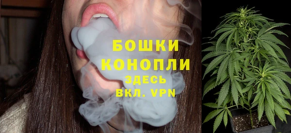 дживик Богородск