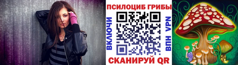 Псилоцибиновые грибы мухоморы  ссылка на мегу tor  Красноярск 