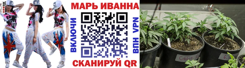 купить   Красноярск  МАРИХУАНА планчик 
